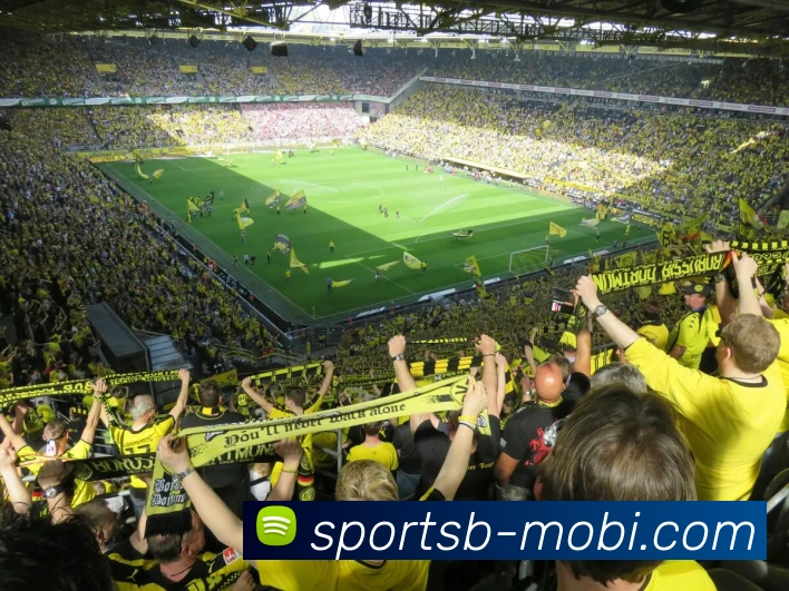 B体育APP 封面图